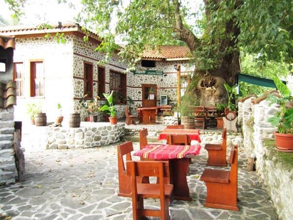 Комплекс Стария Чинар Melnik (Blagoevgrad) Extérieur photo
