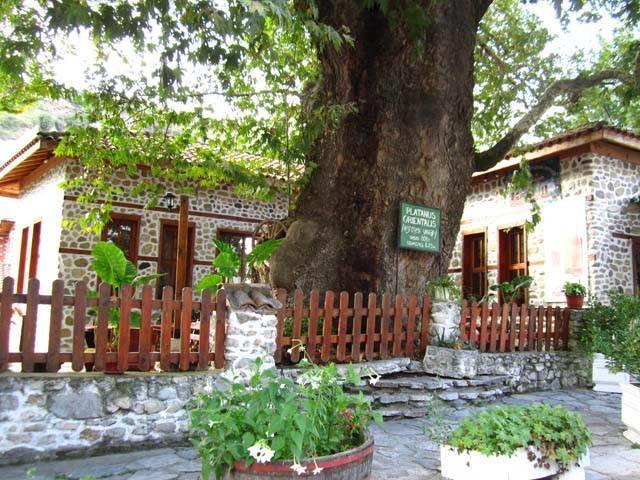 Комплекс Стария Чинар Melnik (Blagoevgrad) Extérieur photo