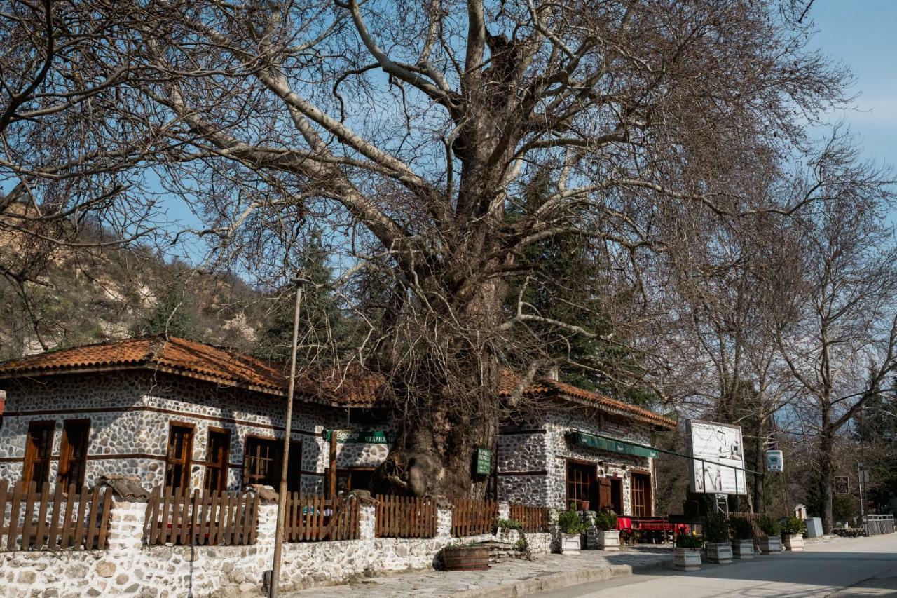 Комплекс Стария Чинар Melnik (Blagoevgrad) Extérieur photo